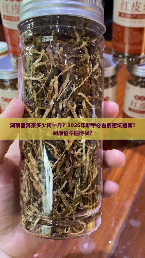 湖南普洱茶多少钱一斤