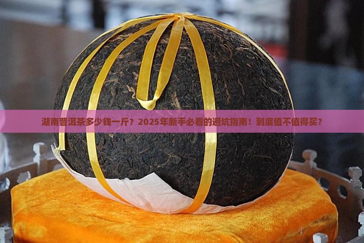 湖南普洱茶多少钱一斤
