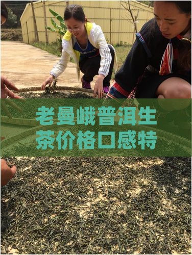 老曼峨普洱生茶