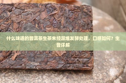 什么是生普洱茶的味道