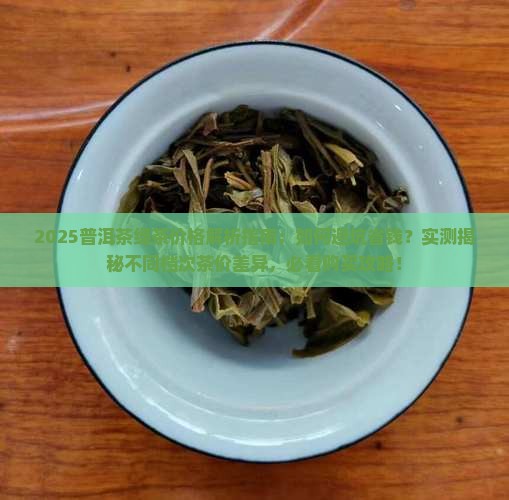 普洱茶绿茶多少钱