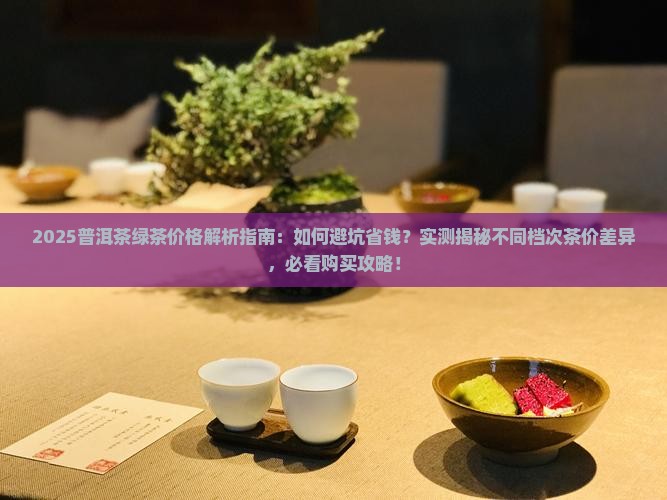 普洱茶绿茶多少钱