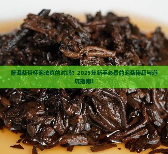 普洱茶茶杯泡法