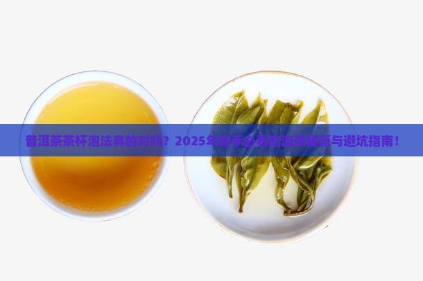 普洱茶茶杯泡法