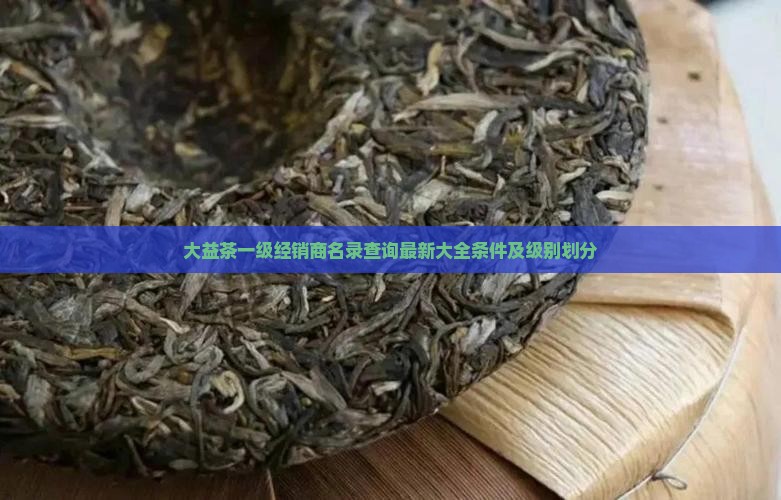 大益茶一级经销商名录
