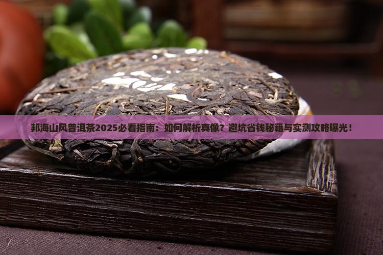 邦海山风普洱茶