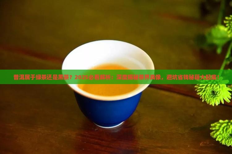普洱属于绿茶还是黑茶