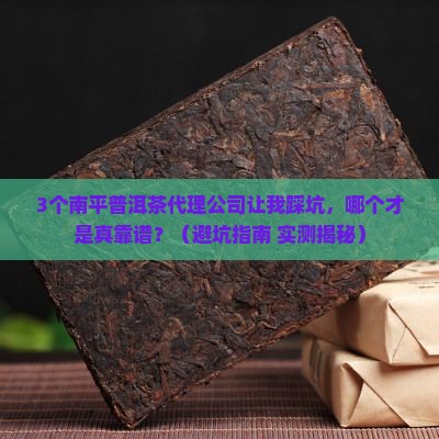 南平普洱茶渠道代理公司