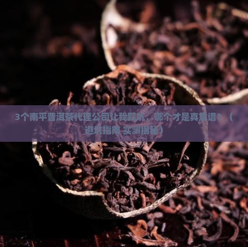 南平普洱茶渠道代理公司