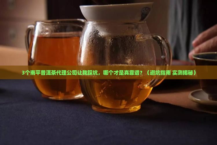 南平普洱茶渠道代理公司