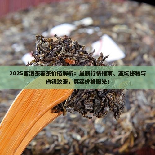 2018普洱茶春茶价格多少 2018普洱茶春茶价格多少