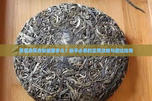 普洱茶蒸煮多长时间好呢