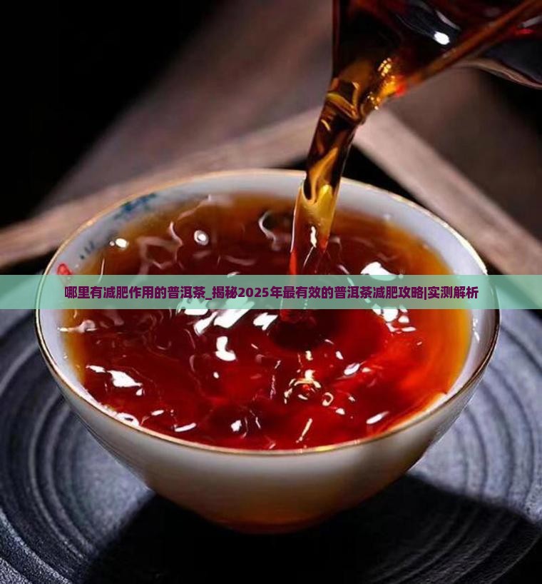 哪里有减肥作用的普洱茶