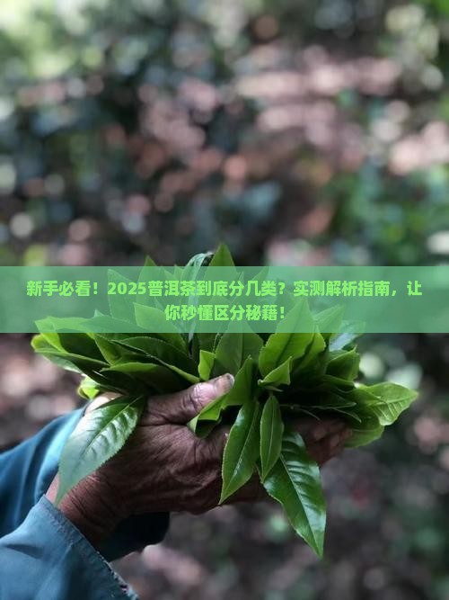 普洱茶分几类怎么区分 普洱茶分几类怎么区分