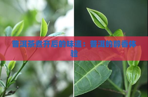 普洱茶煮开了是什么味道
