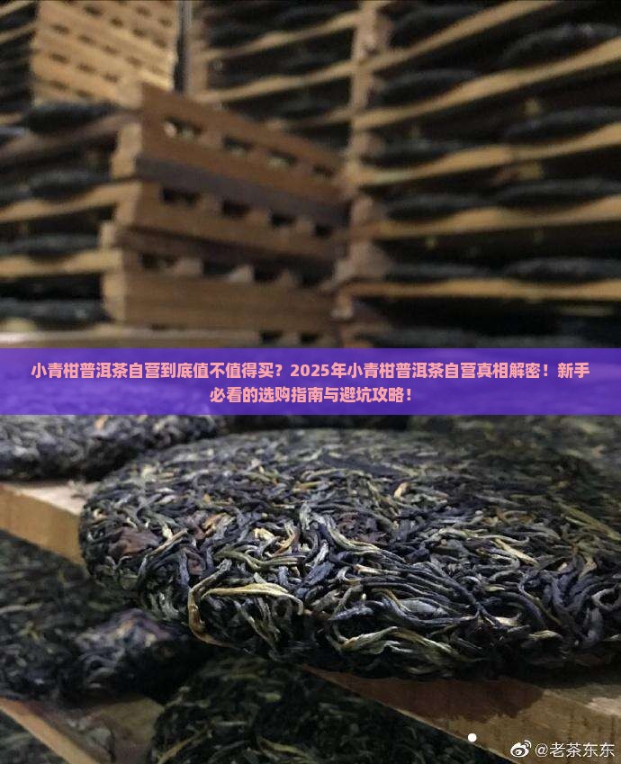 小青柑普洱茶自营