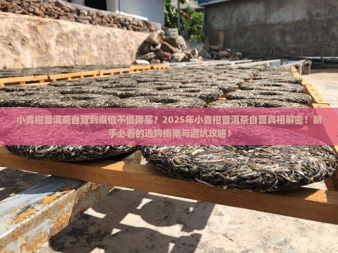 小青柑普洱茶自营