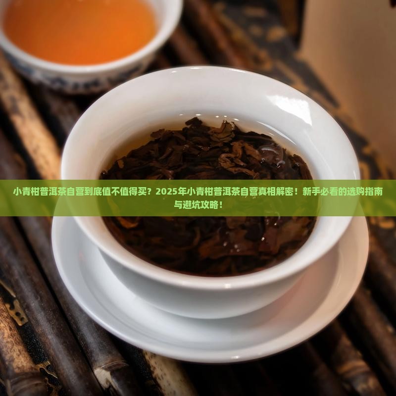 小青柑普洱茶自营