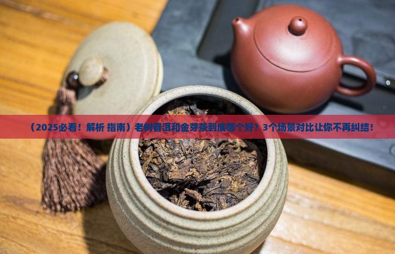 普洱茶老树好还是金芽茶好