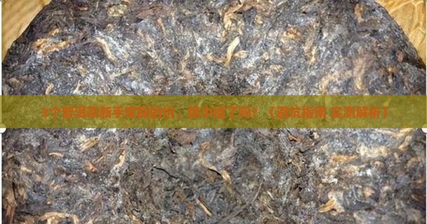 普洱茶策划展示 普洱茶策划展示