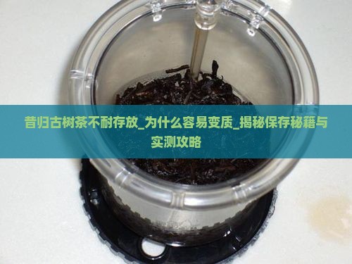 昔归古树茶不耐存放