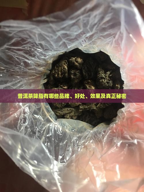 普洱茶降脂有哪些