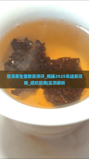 普洱茶生普散茶测评
