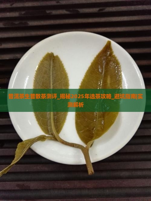 普洱茶生普散茶测评