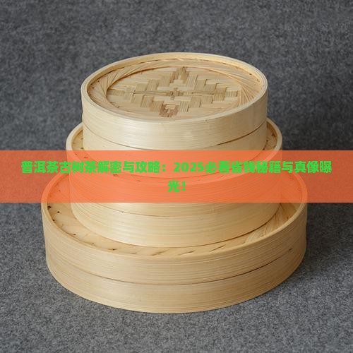 普洱茶古树茶玩法