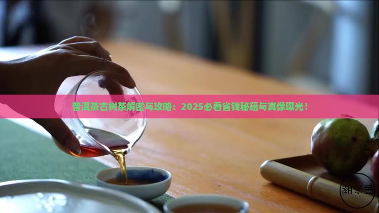 普洱茶古树茶玩法