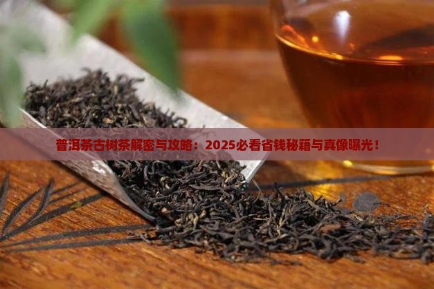 普洱茶古树茶玩法