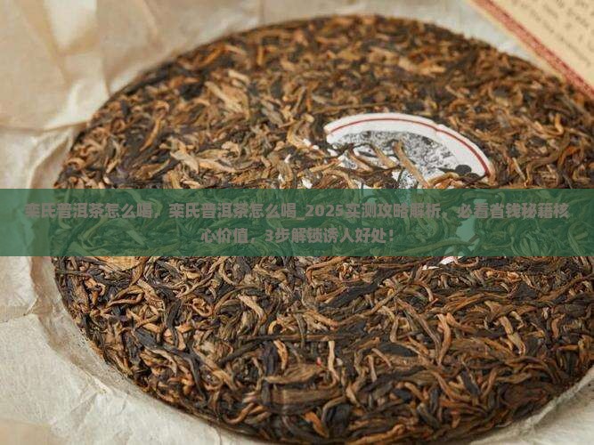 栾氏普洱茶怎么喝