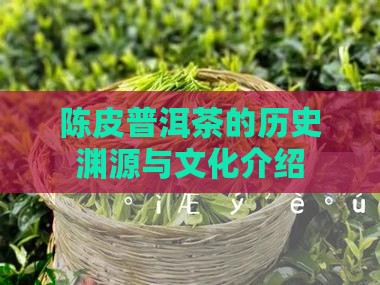 陈皮普洱茶的历史