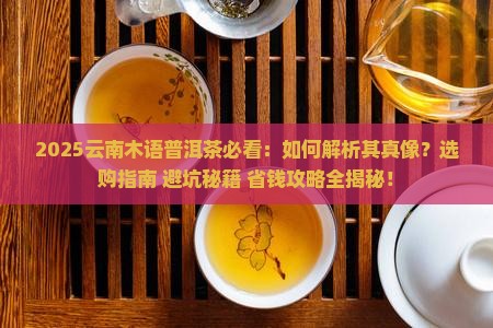 云南木语普洱茶