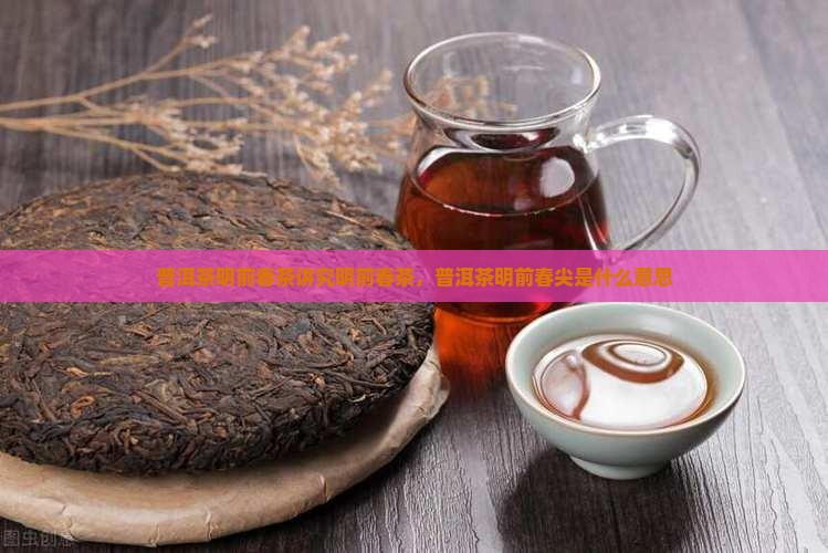 普洱茶明前春茶
