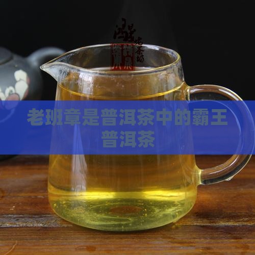老班章大树茶是普洱吗