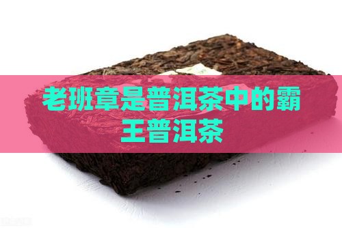 老班章大树茶是普洱吗
