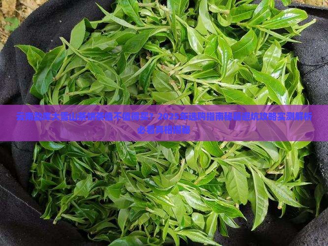 云南勐库大雪山茶饼茶