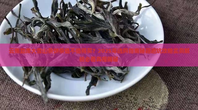 云南勐库大雪山茶饼茶