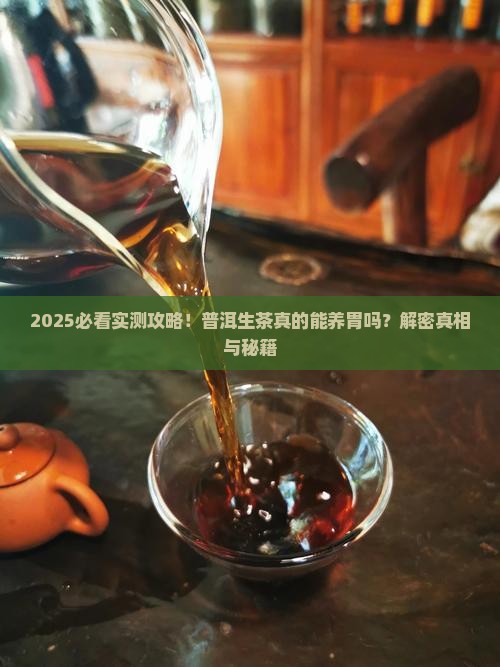 普洱茶生茶能养胃吗
