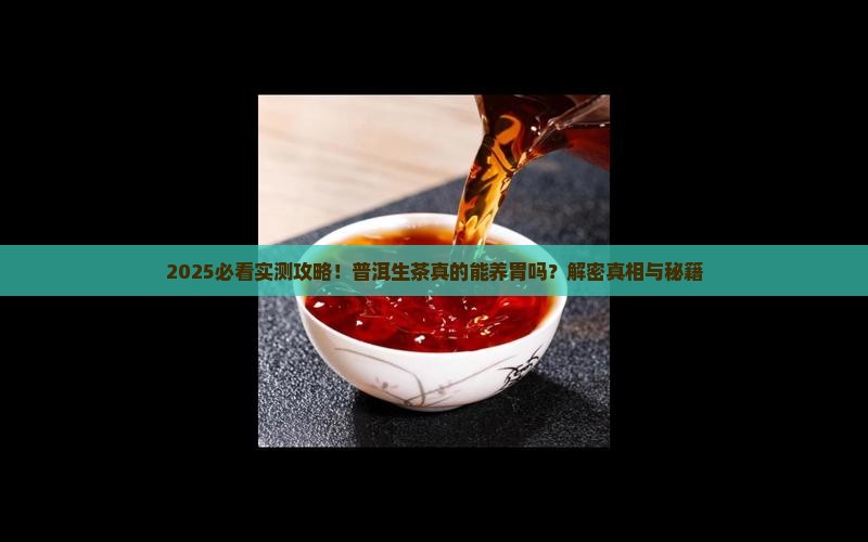 普洱茶生茶能养胃吗