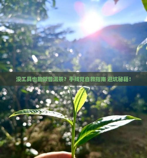 在家没工具自制普洱茶怎么办