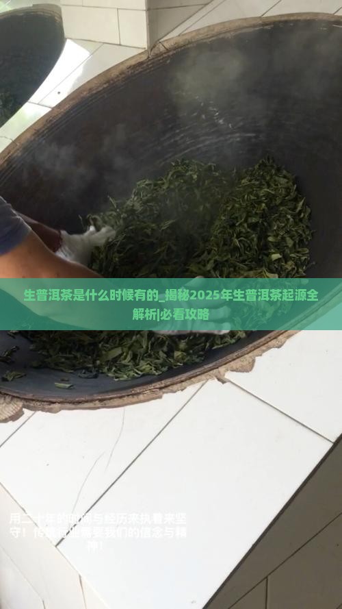 生普洱茶是什么时候有的