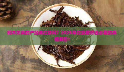 桐木关是经典红茶的产地吗