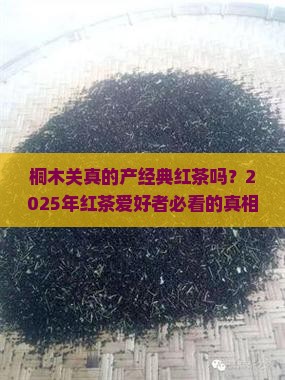 桐木关是经典红茶的产地吗