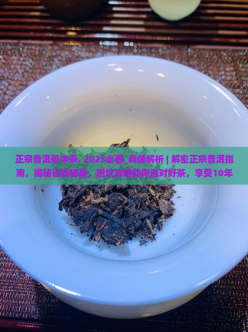 正宗普洱茶中茶