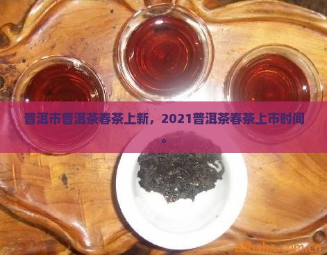 普洱市普洱茶春茶上新