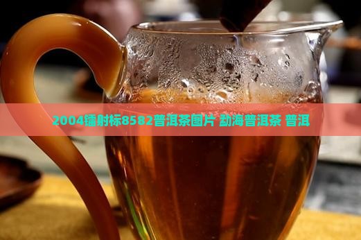 2004镭射标8582普洱茶