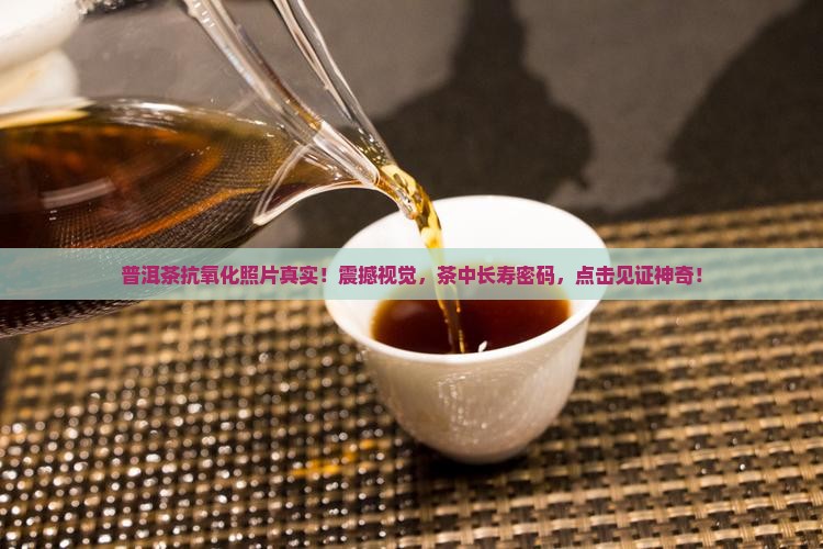 普洱茶抗氧化照片真实