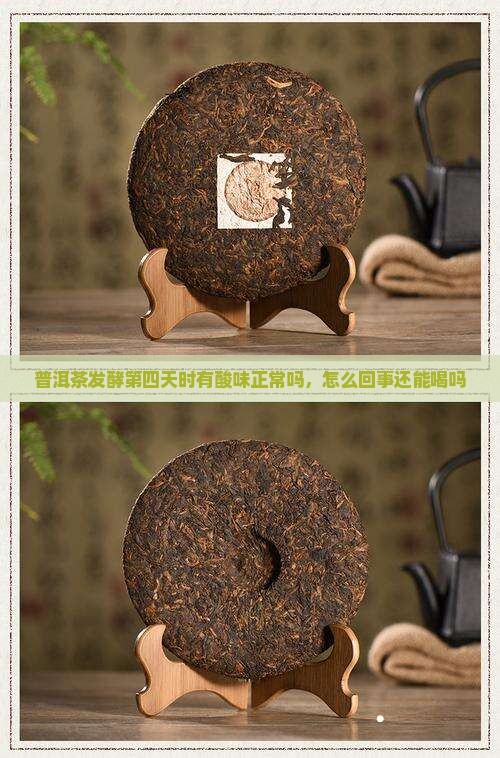 普洱茶发酵第四天时有酸味